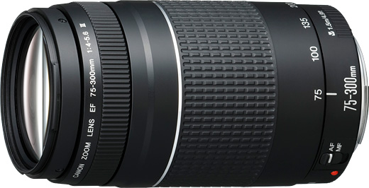 Lenses - EF75-300mm f/4-5.6 III - Canon India